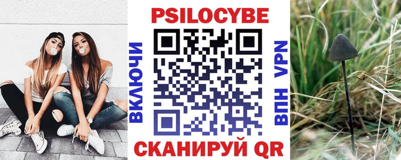 Псилоцибиновые грибы GOLDEN TEACHER  Купить  Болгар 